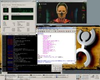 MPlayer on Windows XP